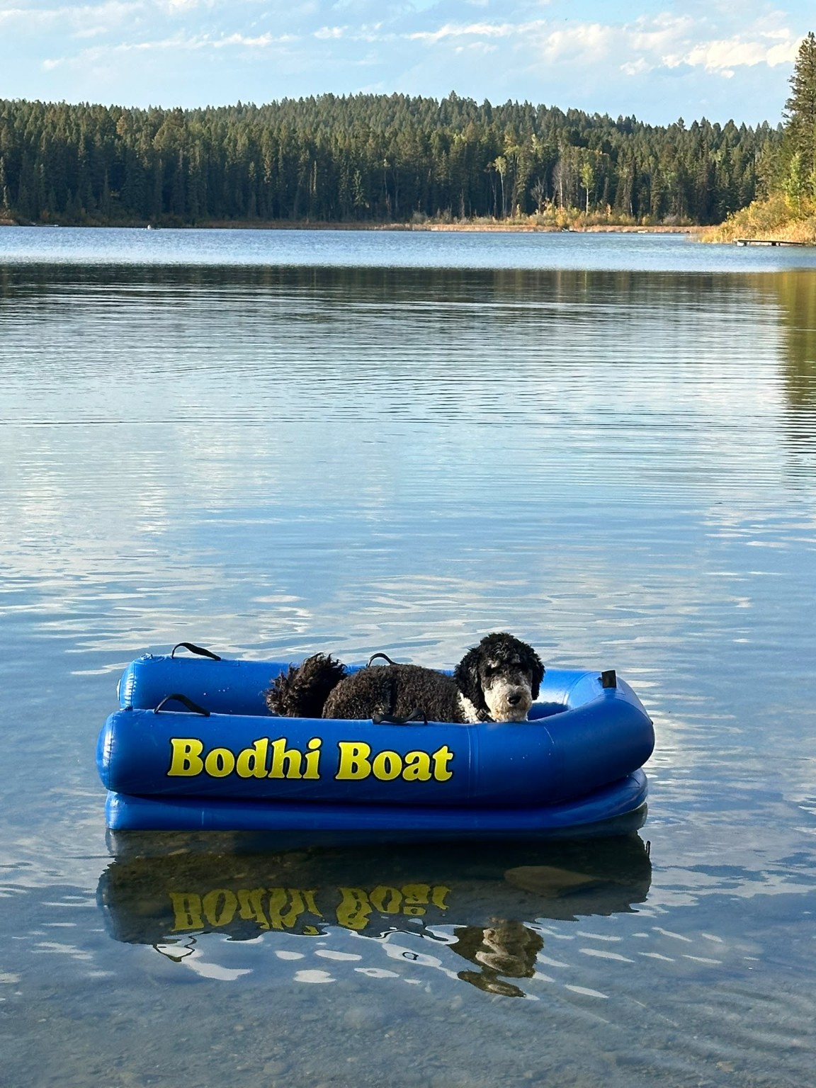 The full Bodhi Boat inflatable floating on a calm forest lake with Bodhi sitting inside