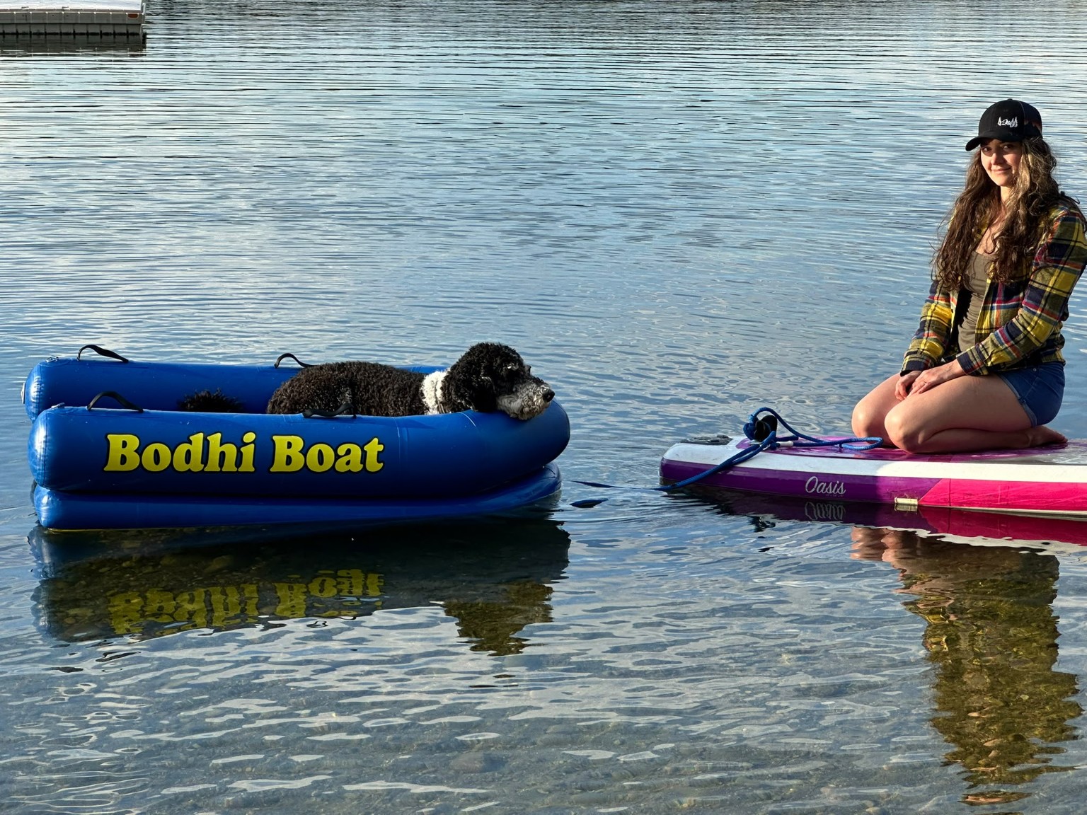 Bodhi lying down and relaxing in the Bodhi Boat beside a paddleboard