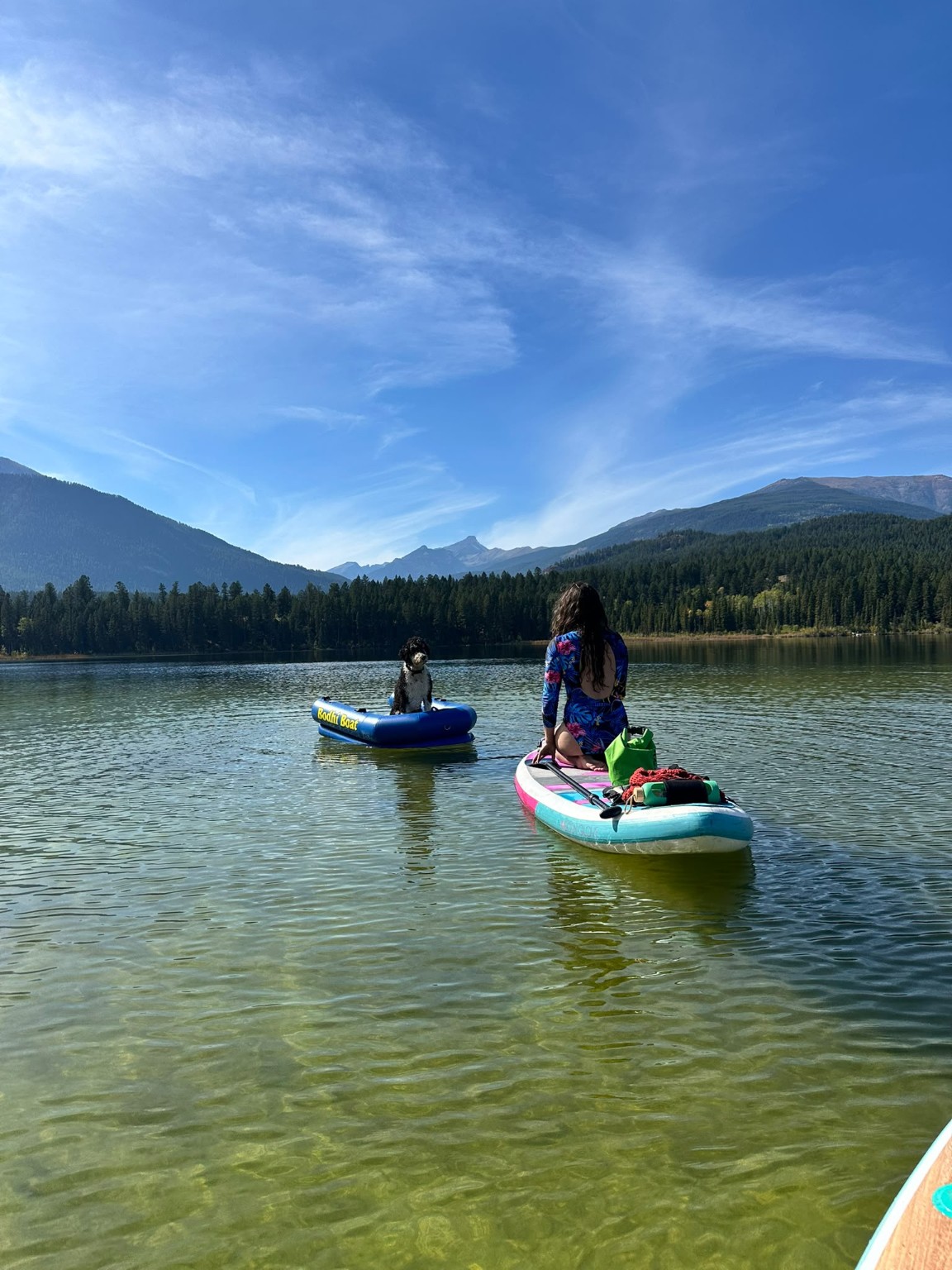 Bodhi riding in the Bodhi Boat behind a paddleboarder heading toward the mountains